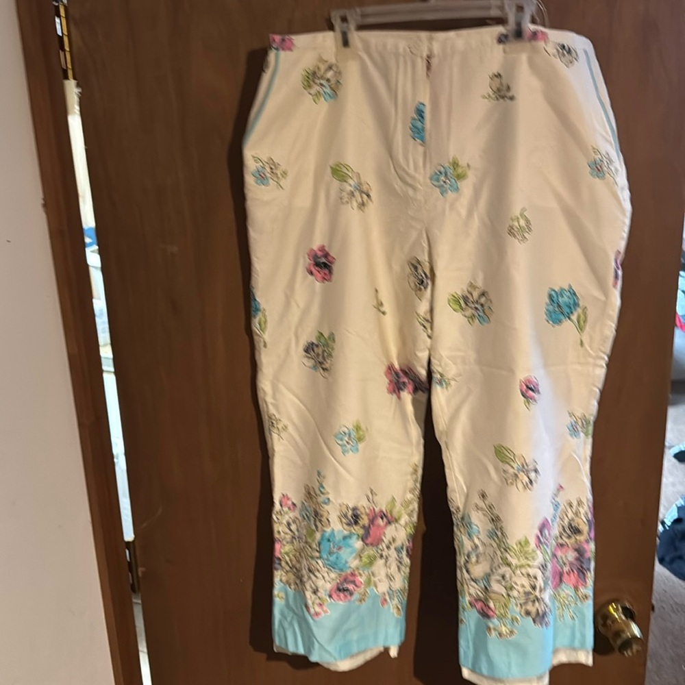 Women’s dress pants